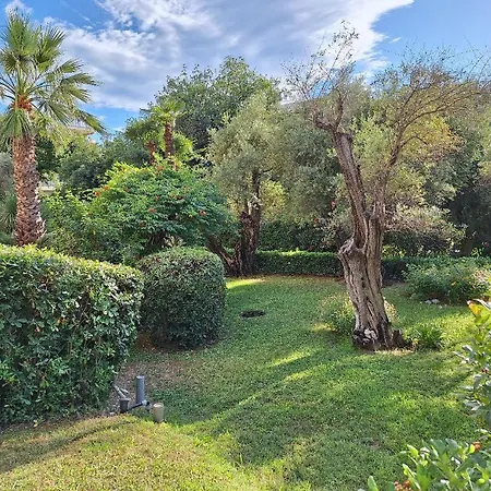Appartement Les Pins Charming Juan-les-Pins